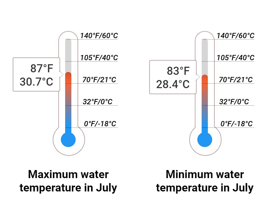 Average Sea temperature